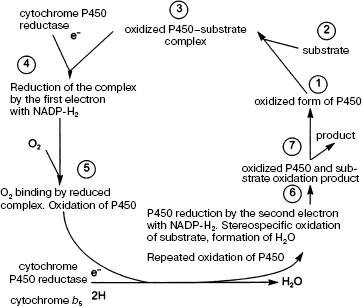 Scheme 3