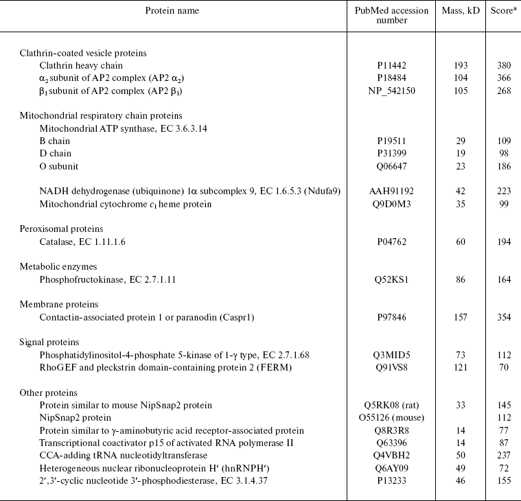 TABLE 1