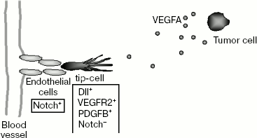 Scheme 3