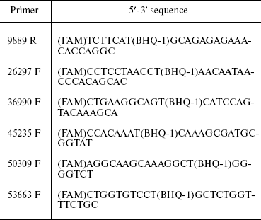 TABLE 2