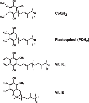 Figure S1