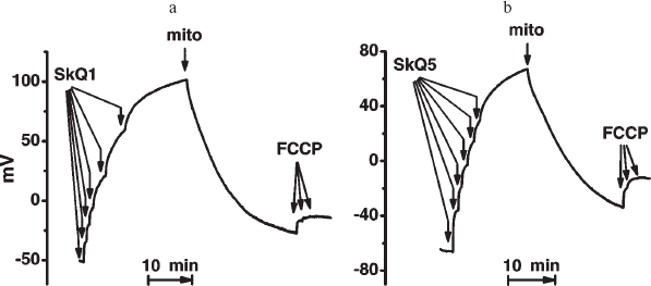 Figure S11