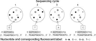 Figure 8