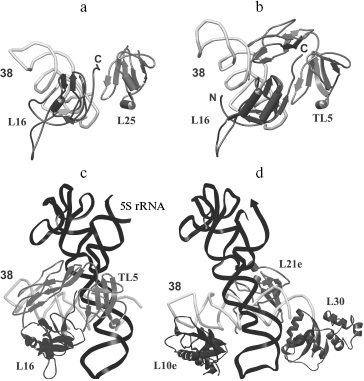 Figure 8