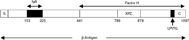 Scheme 4