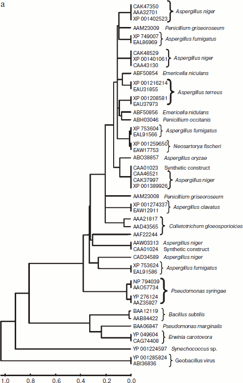 Figure 1a