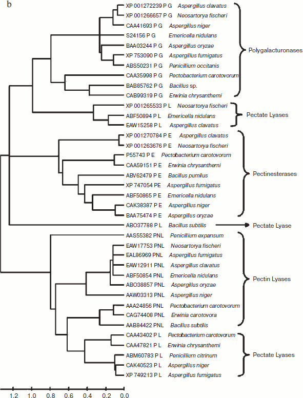 Figure 1b