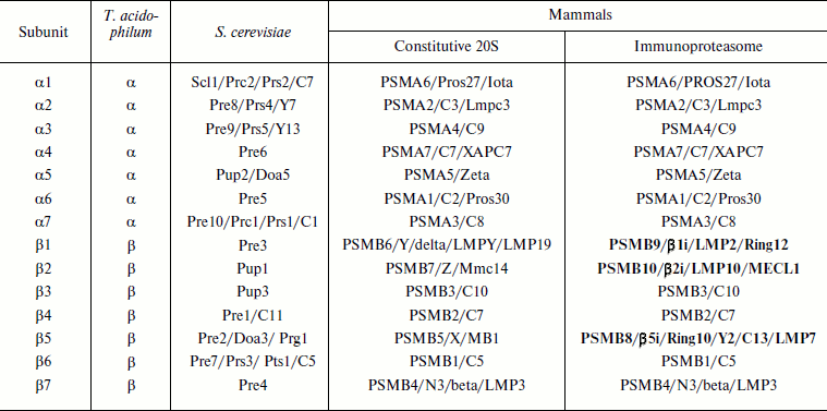 TABLE 1