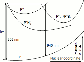 Figure 8