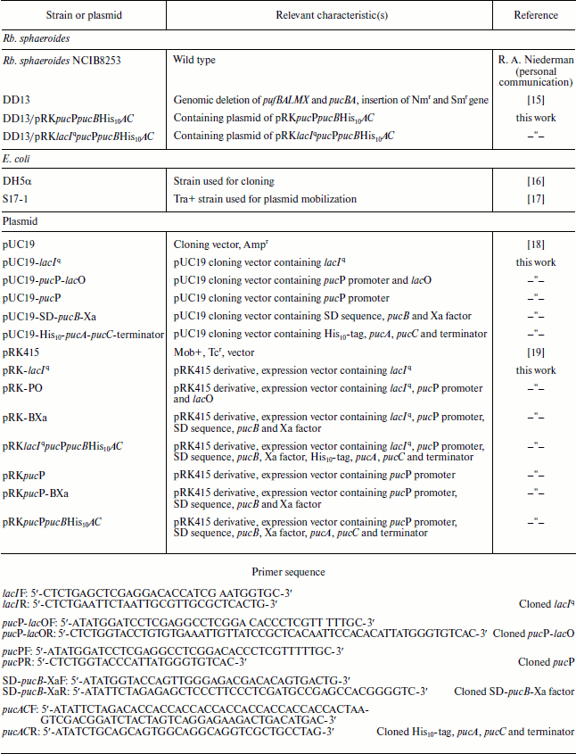 TABLE 1