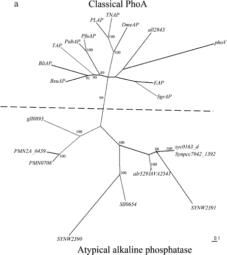 Figure 1a