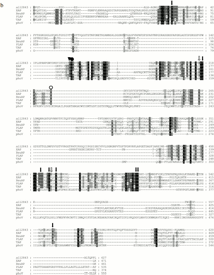 Figure 1b