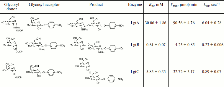 TABLE 2