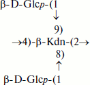 Scheme 3