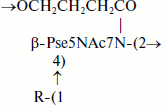 Scheme 4