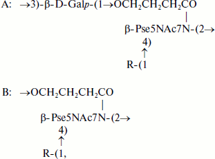 Scheme 5