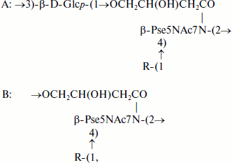 Scheme 6