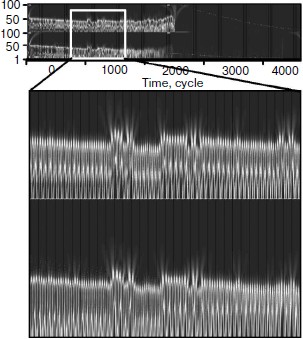 Figure 11