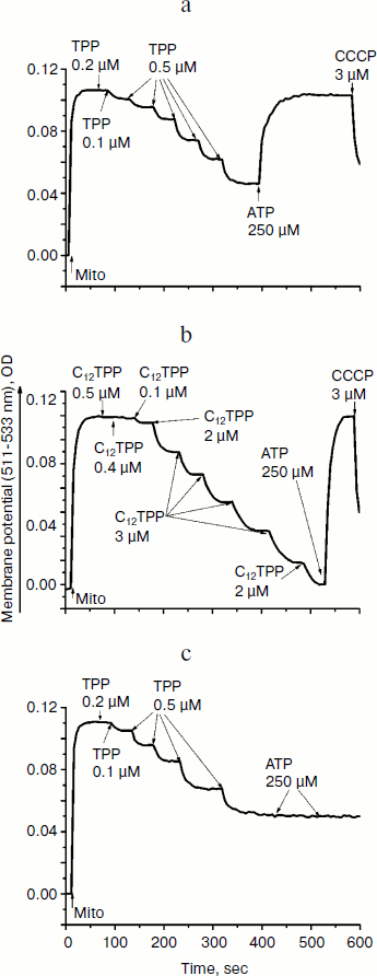 Figure 8