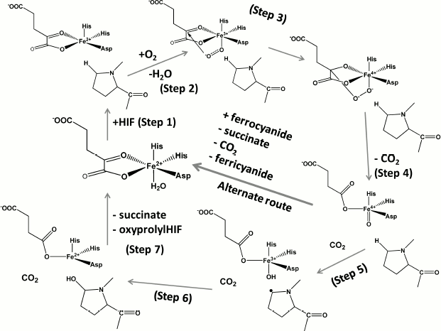 Scheme 2