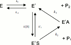 Scheme 4