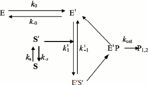 Scheme 5