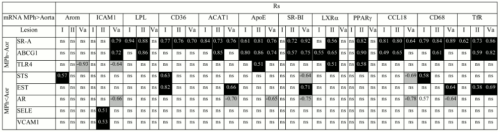 TABLE 3