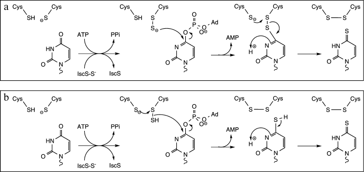 Figure 7