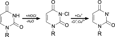 Scheme 2