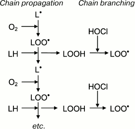 Scheme 4