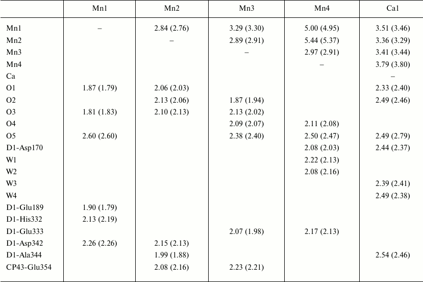 TABLE 1