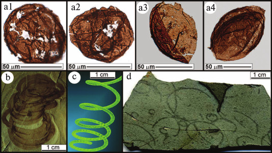 Figure 10