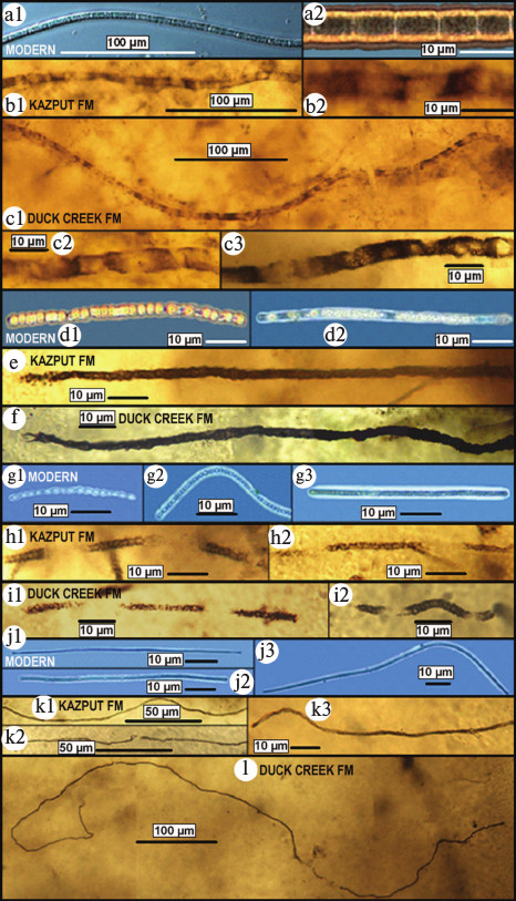 Figure 12