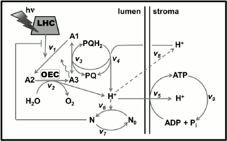 Figure 13