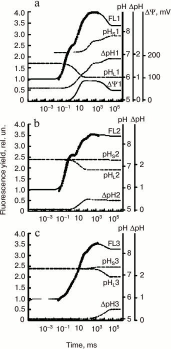 Figure 8