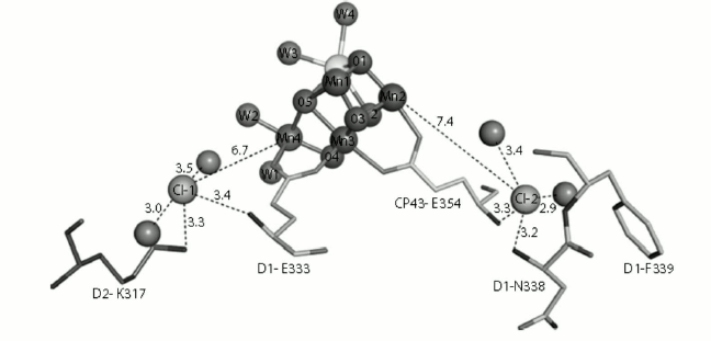 Figure 9