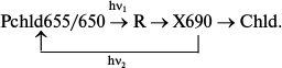 Scheme 2