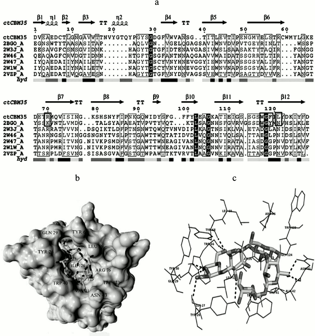 Figure 6a