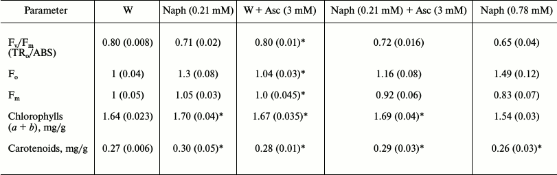 TABLE 4