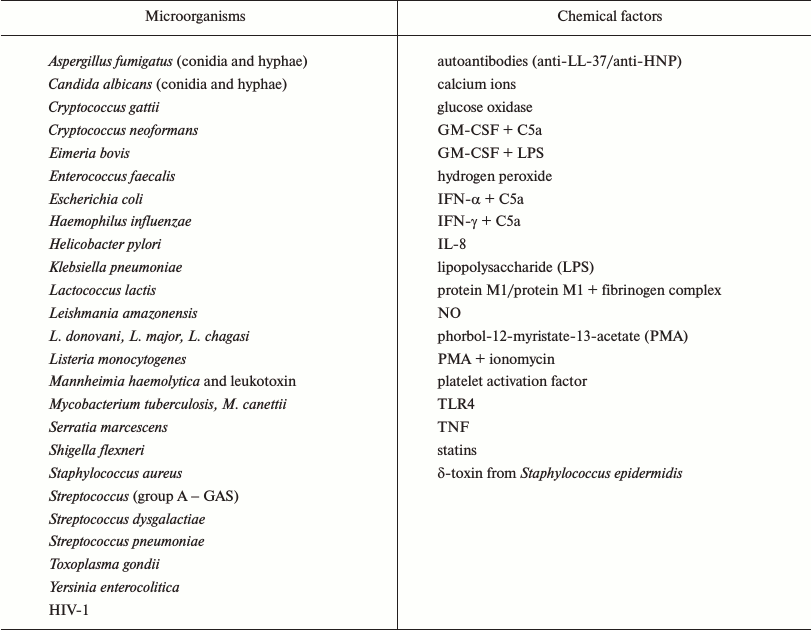 TABLE 2