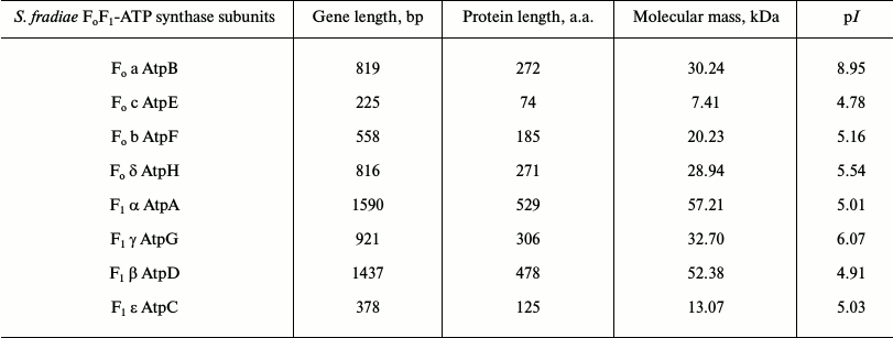 TABLE 4