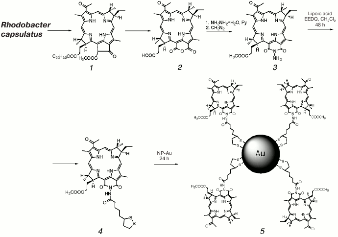 Scheme 1