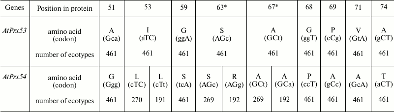 TABLE 2