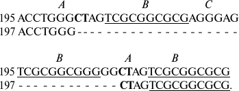 Scheme 4