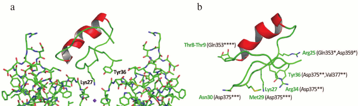 Figure 16