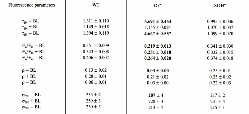 TABLE 1