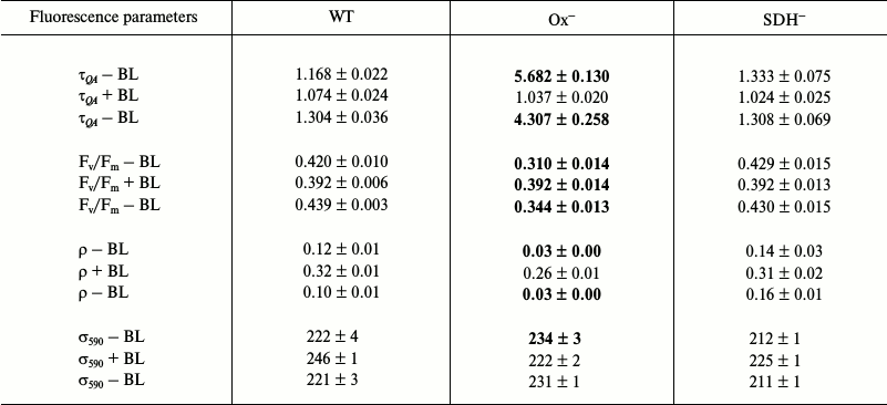 TABLE 3