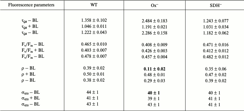 TABLE 4