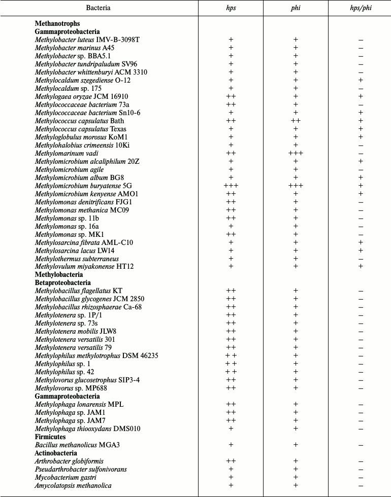 TABLE 4