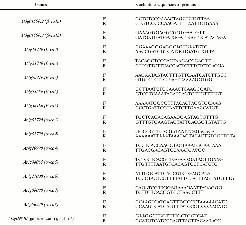 TABLE 1